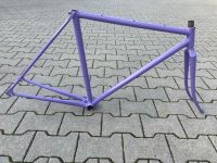 retro vintage bianchi stahl rahmen set singlespeed panto top rar Hessen - Wiesbaden Vorschau