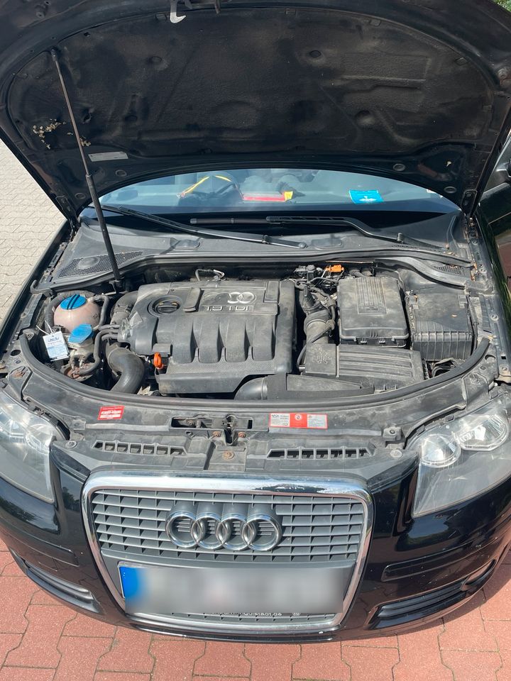 Audi A3 Sportback 1.9TDI in Rostock