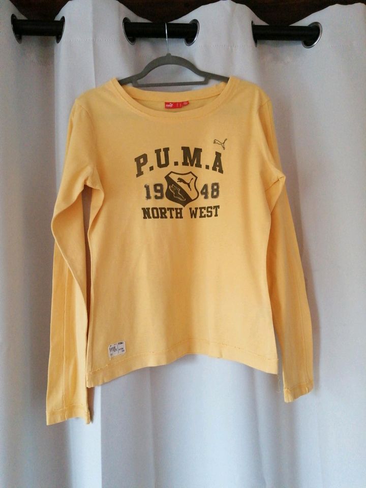 Shirt Puma Longsleeve L in Großwallstadt