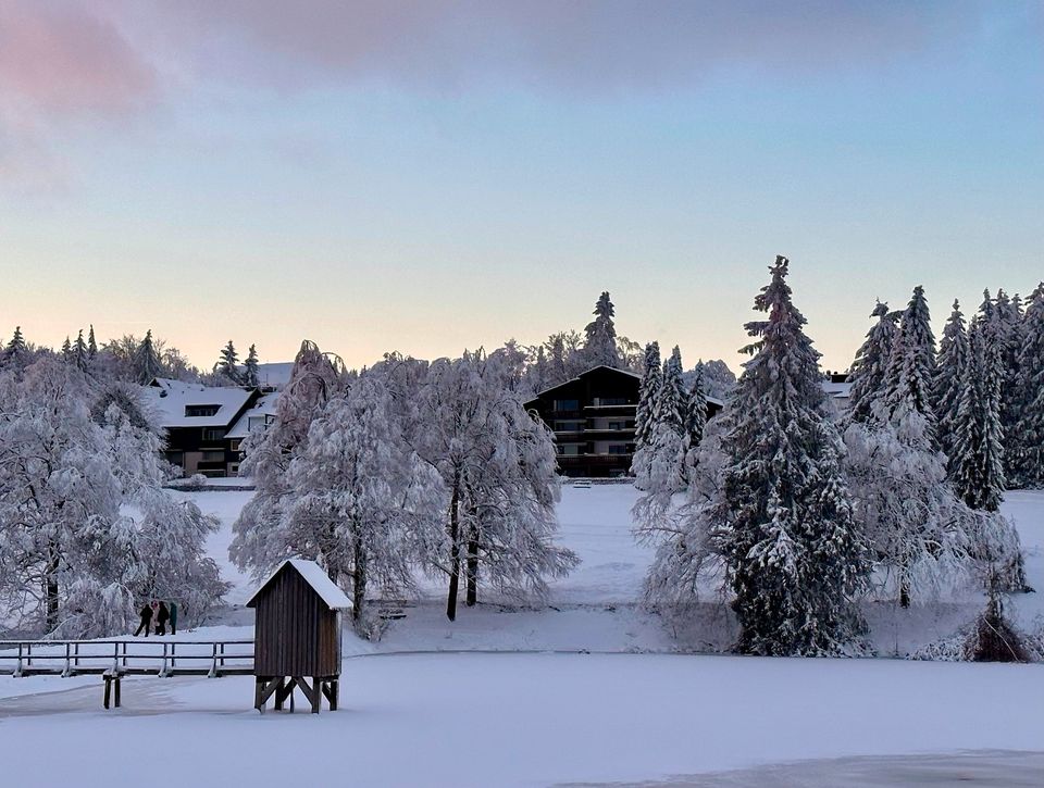 Ferienwohnung in Hahnenklee mit Blick auf Berg, Wald und See in Goslar