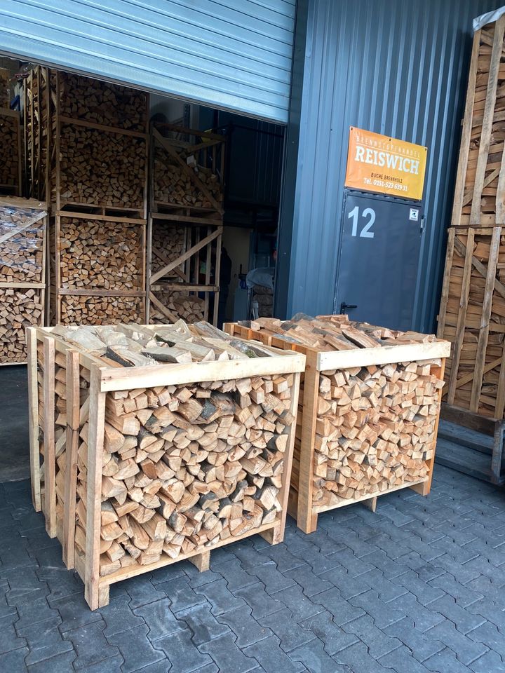 Kaminholz Buche, Brennholz, 1,5 SRM Premium Qualität in Büdingen