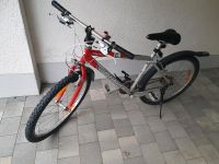 Fahrrad, Specialized, Hard Rock, Mountenbike Bayern - Kienberg Vorschau