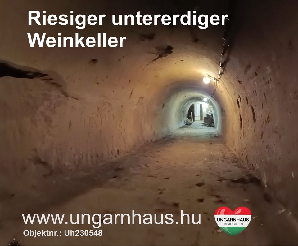 Ungarn , Südungarn ♥♥ Original Kellerhaus im schwäbischen Hajos ♥♥ Ratenkauf möglich in Freudenberg