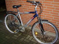 Herren-Fahrrad-------28ziger Brandenburg - Altlandsberg Vorschau