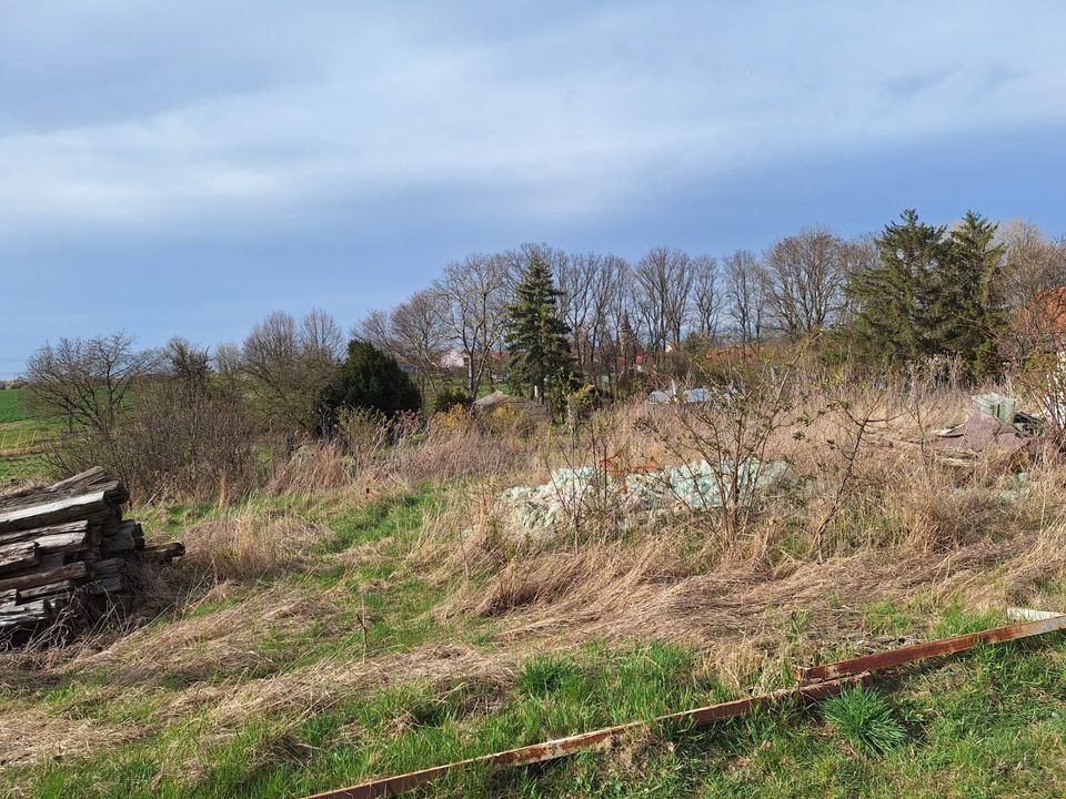 Baugrundstück mit Scheune und Gartenland in Utzberg