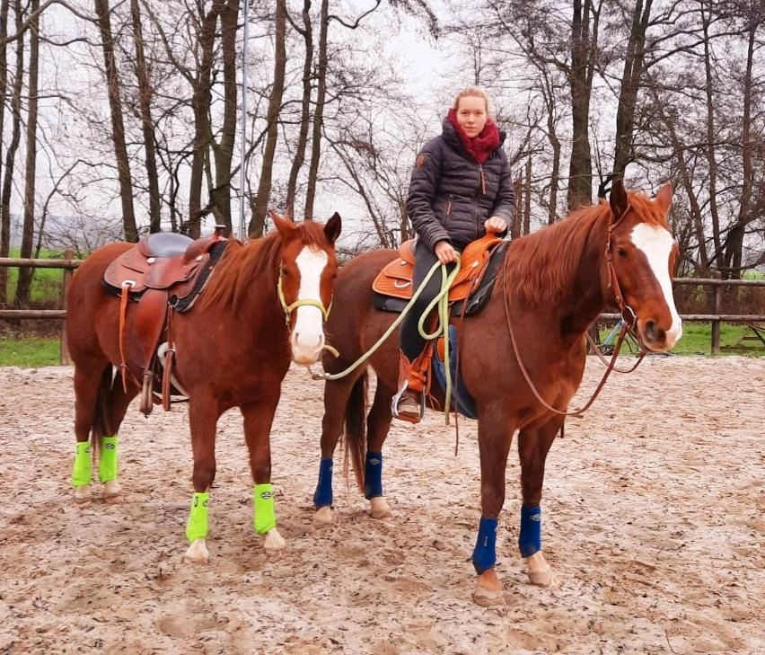 Jung- Pferdeausbildung - Pferdetraining - Problempferde in Sonsbeck