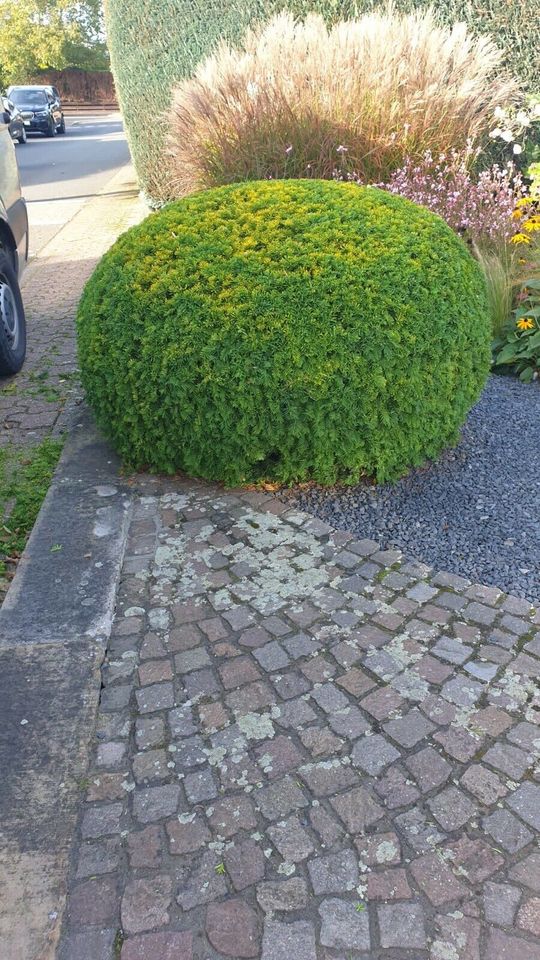 Gartenpflege in Isselburg