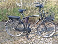 E-Bike Gazelle Heavy Duty 28" / 500W Lastenrad schwarz Schleswig-Holstein - Stapel (bei Husum) Vorschau