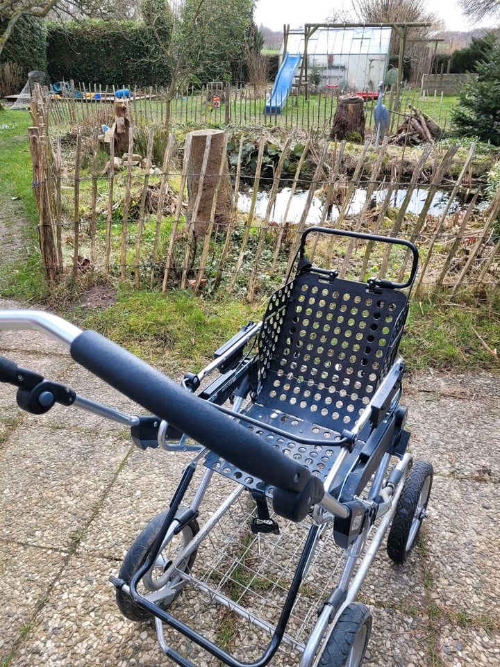 Emmaljunga Kinderwagen in Esgrus