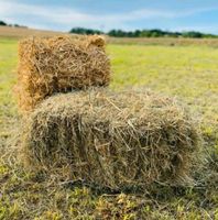 Heu, HD Ballen, Rundballen, Wiesen, kostenlos Niedersachsen - Hildesheim Vorschau