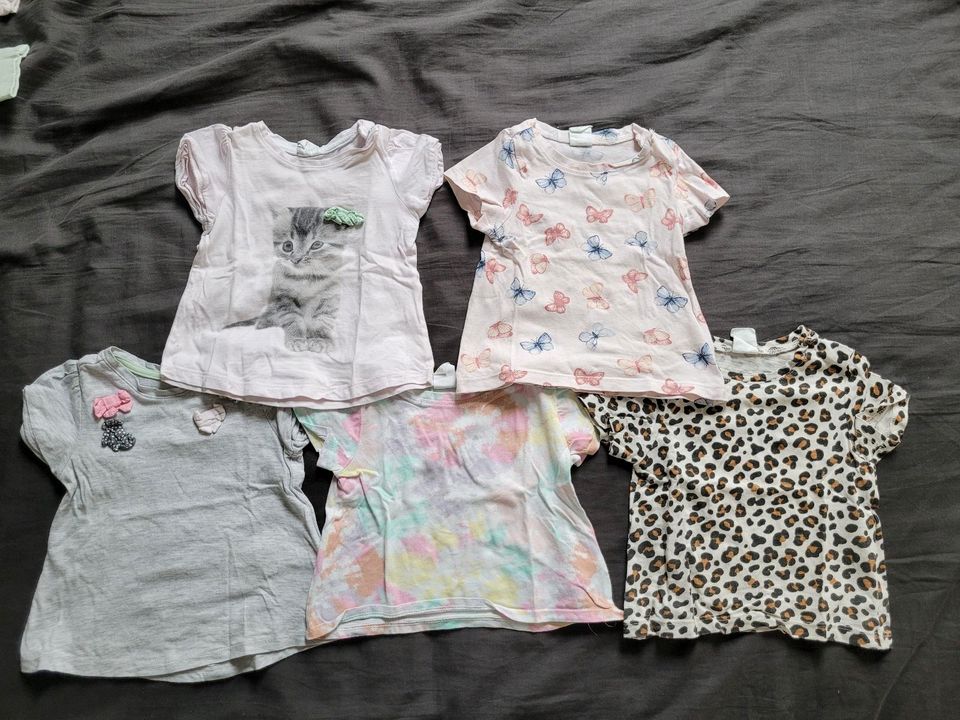 5 kurzärmlige T-Shirts Gr. 68 H&M in Burgstädt