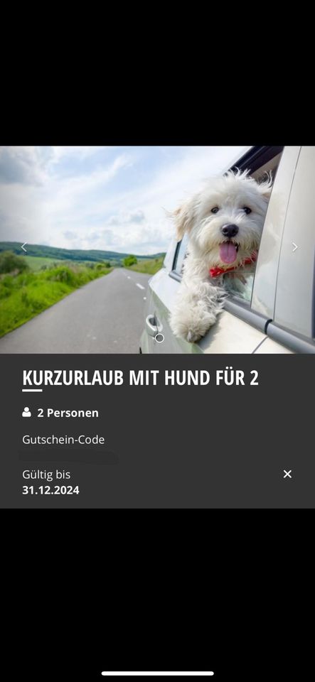 Jochen Schweizer - Kurzurlaub mit Hund in Leonberg