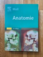 Anatomie Moll Pankow - Prenzlauer Berg Vorschau