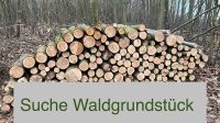 Suche Waldgrundstück Sachsen - Bad Lausick Vorschau