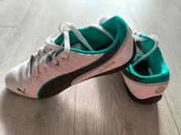 Puma AMG Mercedes Petronas Schuhe Größe 41 Niedersachsen - Thedinghausen Vorschau