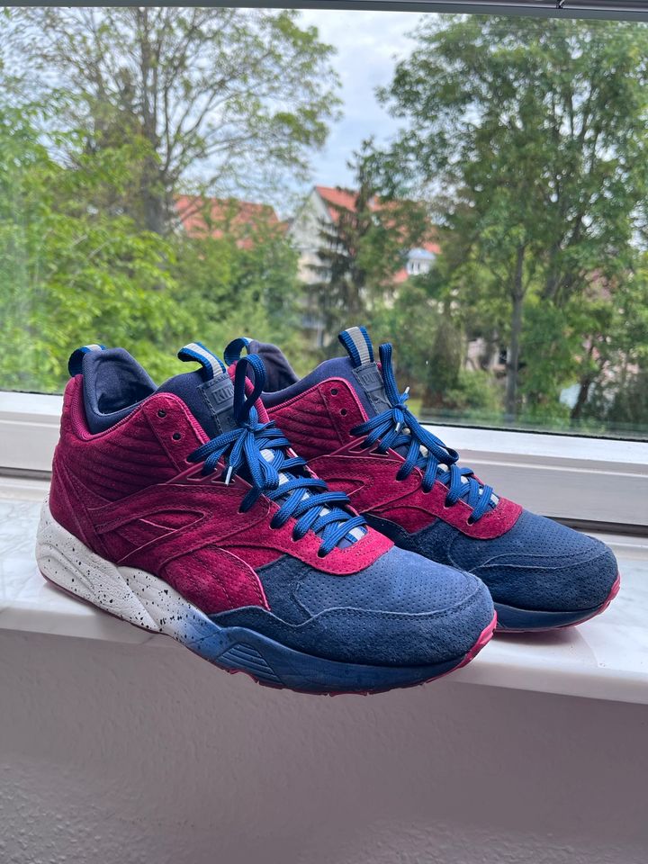 Puma r698 EU42 US9 in Stuttgart