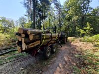 Brennholztransport,Langholztransport,Lohnspalten Rheinland-Pfalz - Fischbach (Kreis Kaiserslautern) Vorschau