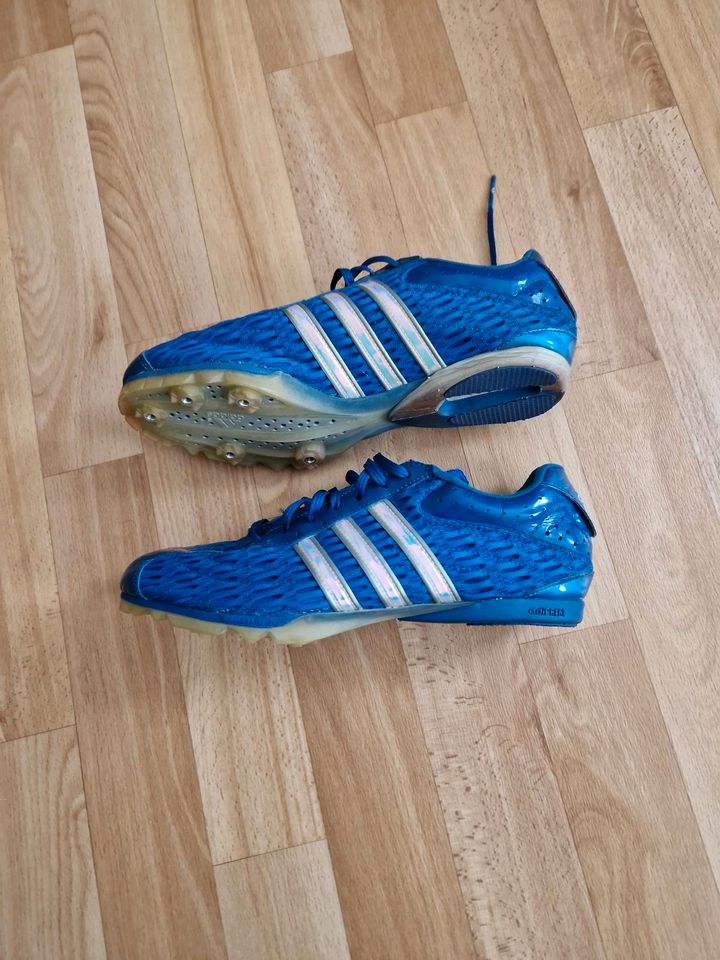 Adidas Spikes blau in Großenhain