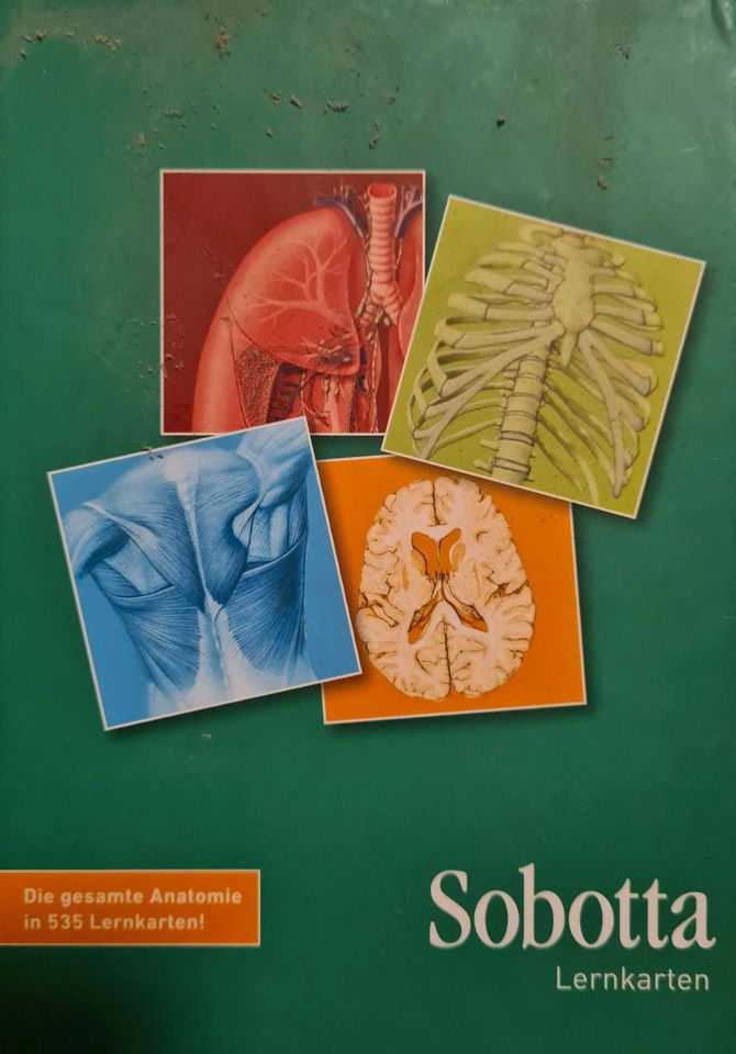 Sobotta Lernkarten Anatomie (Elsevier) in Potsdam