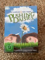 Pushing Daisies Staffel 1 Rheinland-Pfalz - Treis-Karden Vorschau