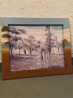 Bild Giraffe Thüringen - Erfurt Vorschau