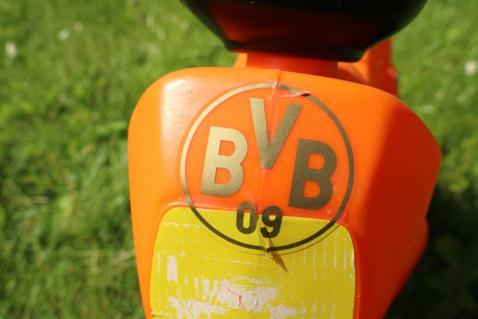 Kinder Moped Motorrad Laufrad Dreirad orange in Dortmund