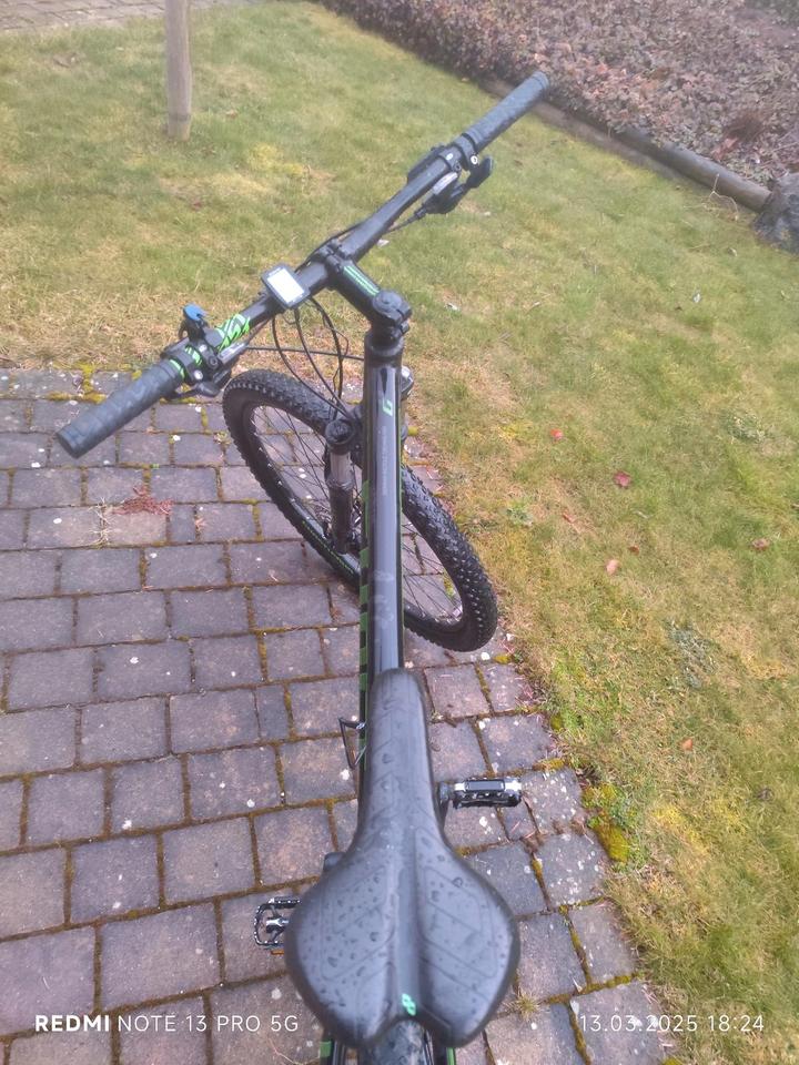 Mountainbike, MTB, Jugend Mountainkike, Größe L, Ghost,29Zoll in Hayingen