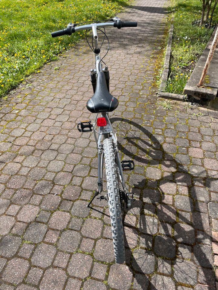 Fahrrad 26 Zoll-Fischer Shinamo 21 Gang in Offenbach