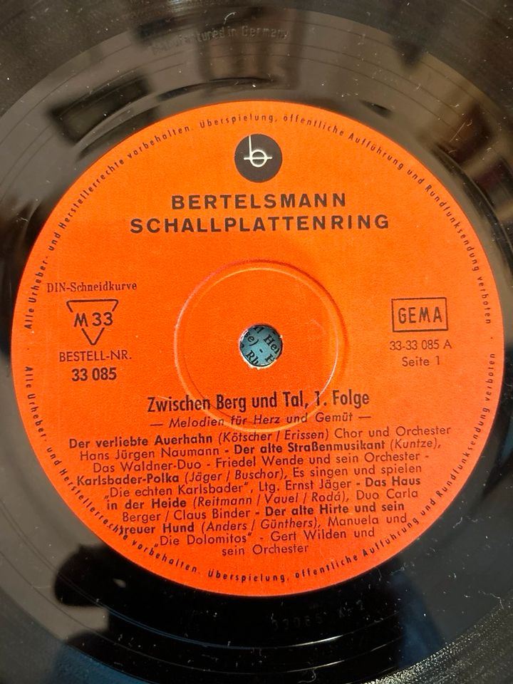 18 Schallplatten 10“ zum Basteln oder Hören Vinyl Flohmarkt in Gültz