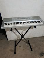 Casio Keyboard mit Ständer Kiel - Pries-Friedrichsort Vorschau