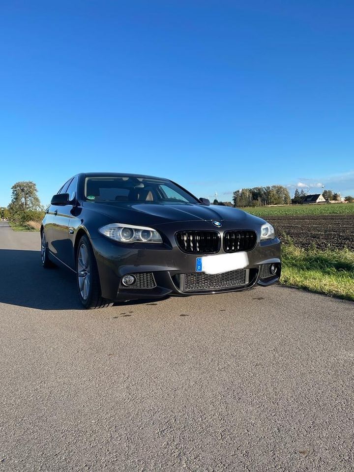 BMW F10 520d in Gerwisch