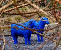 Blauschaf aus Friedensherde gebraucht gesucht Baden-Württemberg - Schwetzingen Vorschau