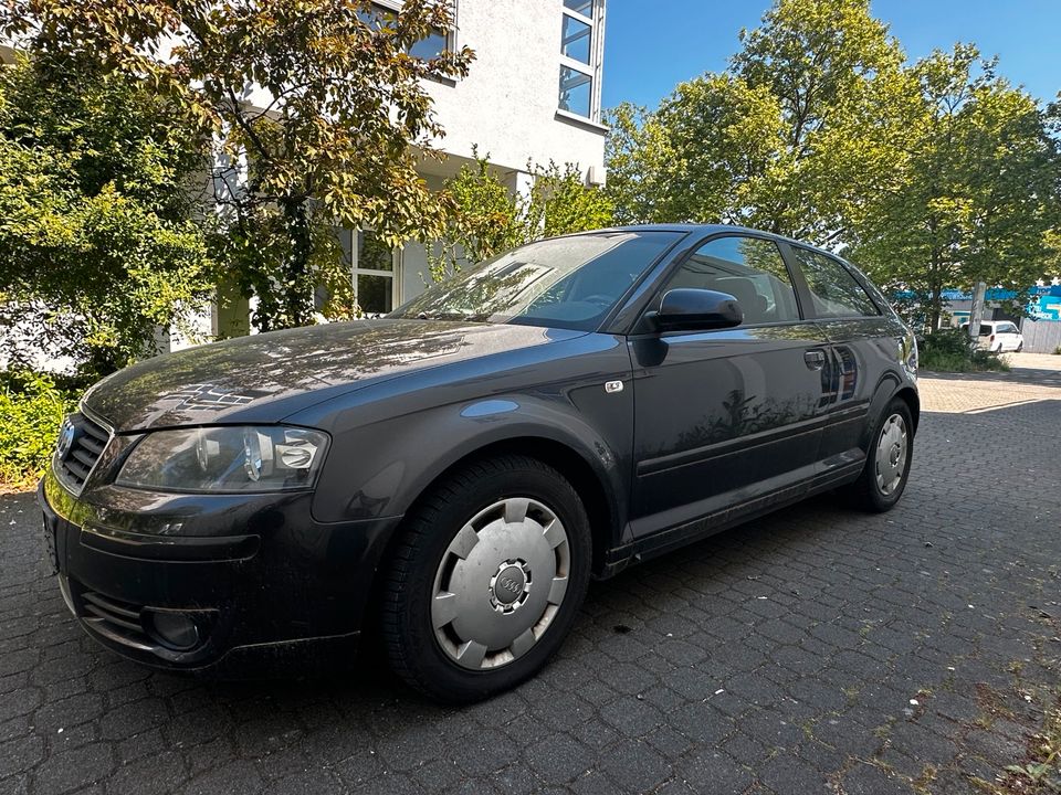 Audi A3 1,6 Benzin in Darmstadt