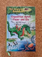 Buch "Das magische Baumhaus- Expedition durch Feuer und Eis" Bayern - Happurg Vorschau