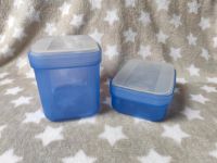 Tupperware Swing Boxen Set 1l 350ml blau Baden-Württemberg - Ostfildern Vorschau