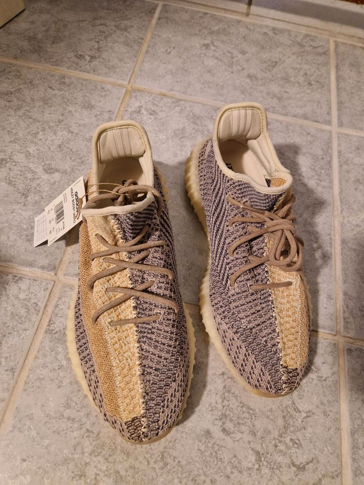 Adidas Yeezy Boost 350 V2 Gr. 12 in Moorrege