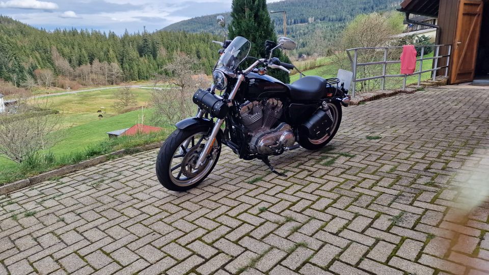 Harley Davidson XL 883 L in Forbach
