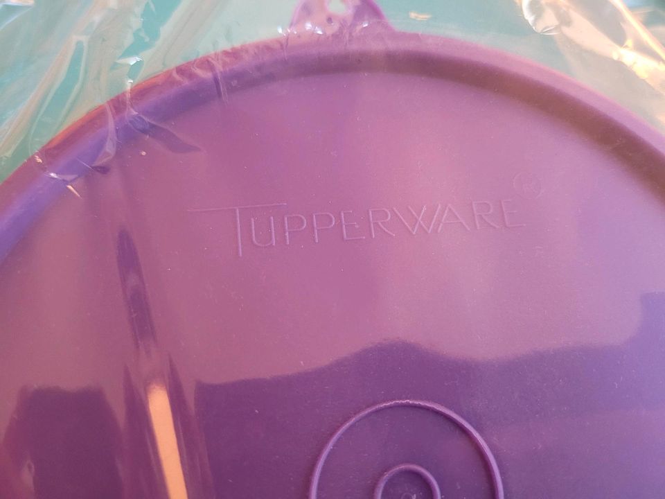 Tupperware neu Snackbar Snacktel Kinderteller Babyteller lila tür in Miltach