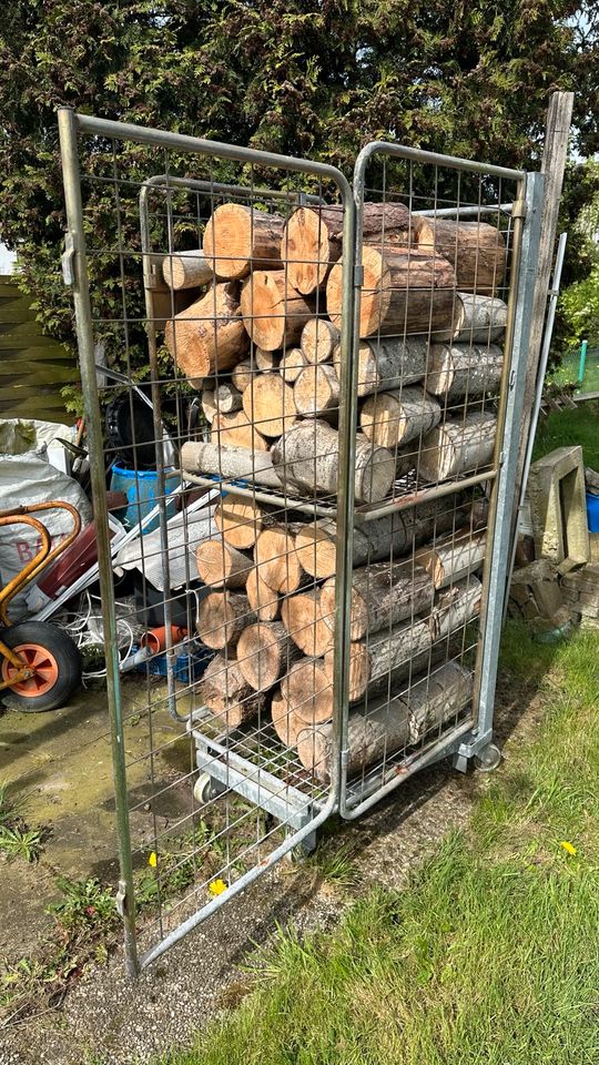 NUR bis Mai Rollwagen 2m³ Brennholz Kaminholz Kamin Ofenkamin in Bremen