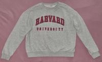Harvard Sweatshirt Downtown Stockholm Brandenburg - Bernau Vorschau