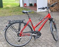 Pegasus Fahrrad rot Hessen - Staufenberg Vorschau