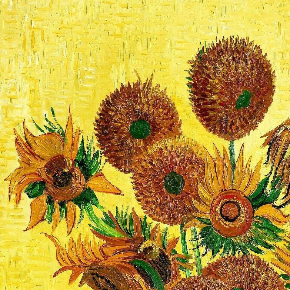van Gogh-Fünfzehn Sonnenblumen i97974 80x110cm Ölbild handgemalt in Berlin