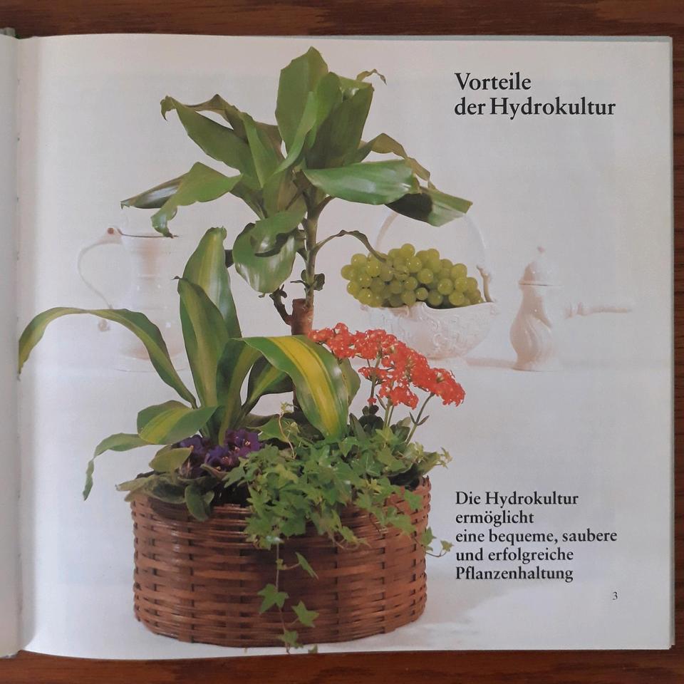 Buch: Prächtige Blumen und Pflanzen in Hydrokultur in Tönisvorst