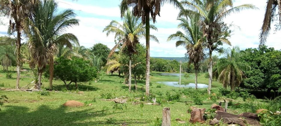 Bolivien Land zu Verkaufen Auswandern in Schönhorst