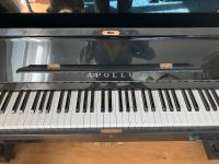 Klavier Apollo Stuttgart - Degerloch Vorschau