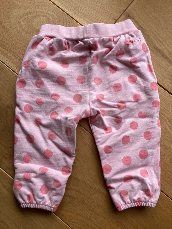 Neuwertige Baby Hose / Jogginghose von Esprit Gr. 74 in Wenden