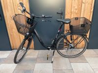 Pegasus Fahrrad zu verkaufen Niedersachsen - Scheeßel Vorschau