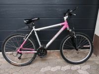 Fahrrad Schauff Team Telekom Mountainbike Baden-Württemberg - Offenburg Vorschau