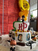 Modell Torte Harry Potter - keine echte Torte! Baden-Württemberg - Magstadt Vorschau