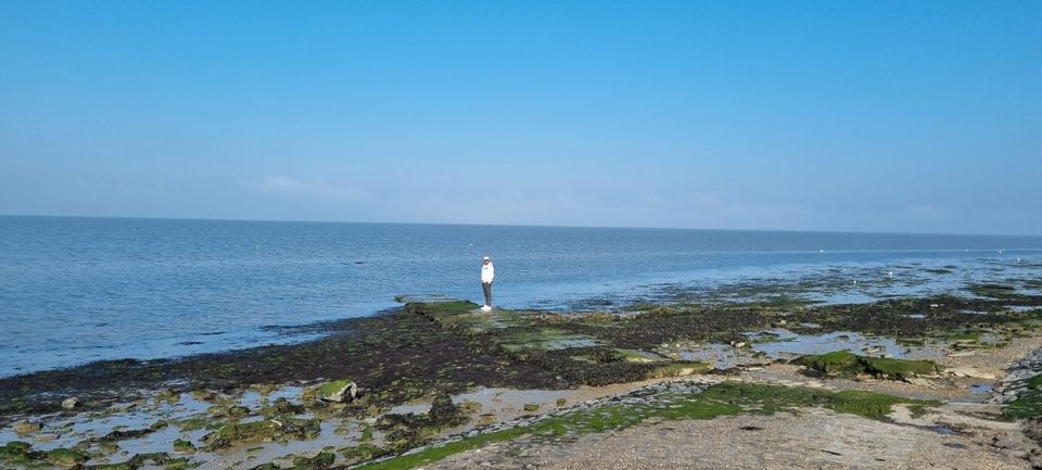 Ferienhaus ⚓ Chalet in Holland, nahe Nordsee, Wattenmeer-Blick⚓ in Hattingen